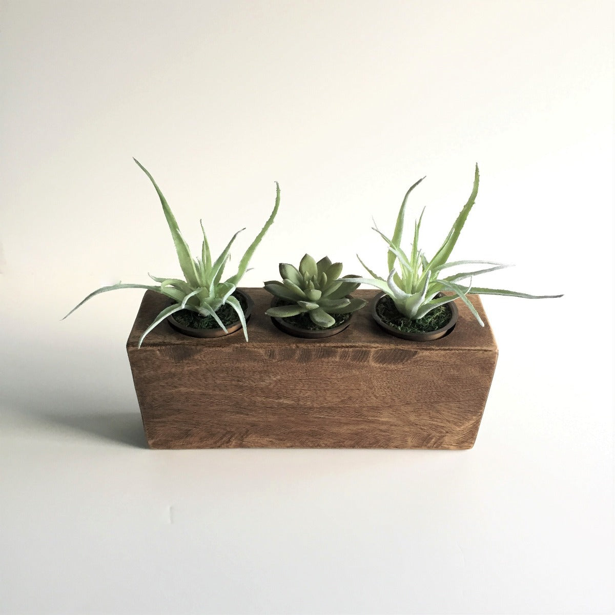 sugar mold succulents Rustic Sugar Mold