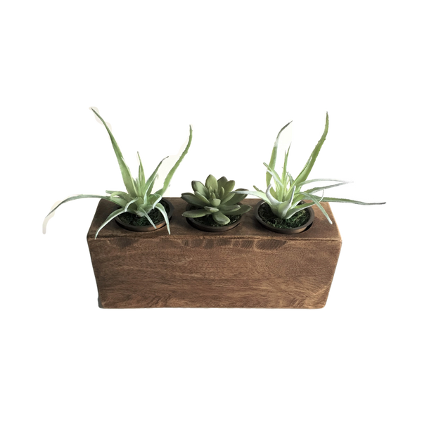 sugar mold succulents Rustic Sugar Mold